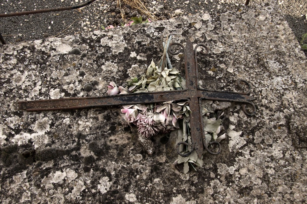 Flors artificials definitivament mortes (©Carles Terès, fossar d'Estopanyà, setembre 2015 )
